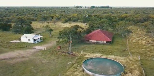 Imagen 11 de 15 de Campo Ganadero