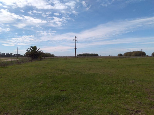 Chacra Chascomus Venta Barrio El Porteño