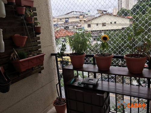 Apartamento Com 2 Dormitórios À Venda, Jardim Monte Kemel São Paulo/sp - Ap0340