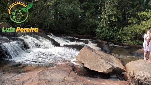 Imagem 4 de 15 de Fazenda À Venda Em Colniza -mt - 629,2 Hectares (dupla Aptidão) - 2108