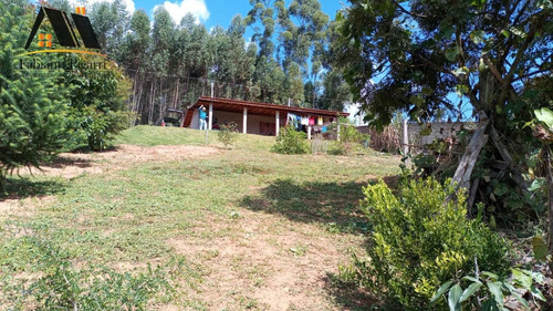 Imagem 6 de 8 de Chácara Para Venda Em Pedra Bela, Zona Rural, 2 Dormitórios, 1 Banheiro - 133_1-2409599