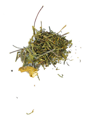 Quinchamalí, Hierba Medicinal Infusión