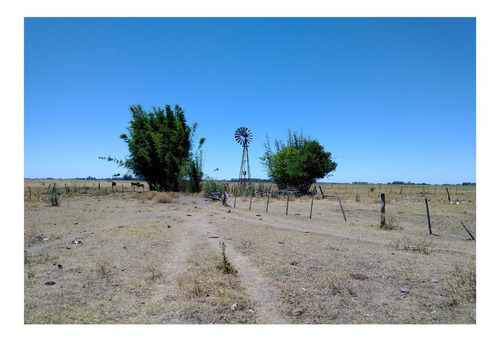 Imagen 6 de 8 de Campo En Venta En Alvarez Jonte-punta Indio