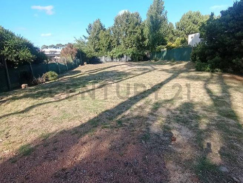 Venta Único Terreno Listo Para Construir En La Residence