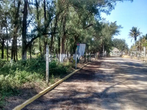 Venta Terreno Frente Al Mar 1821 M² Playa Tuxpan Veracruz