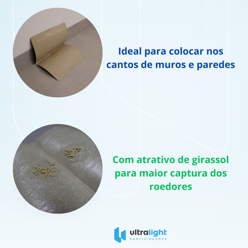 Kit C/ 5 Unidades Placa Cola Adesiva Fim Do Rato Roedores e Ratazanas