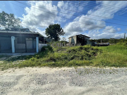 Imagem 2 de 10 de Terreno, Flórida Mirim, Mongaguá - R$ 85 Mil, Cod: 353770 - V353770