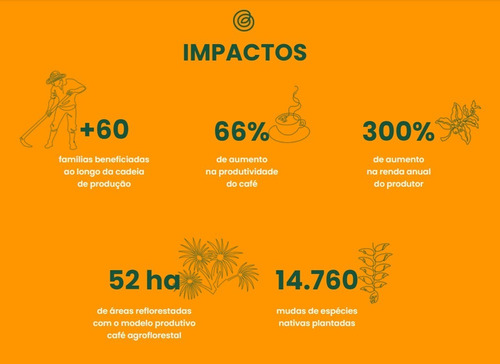 Imagem 6 de 9 de Kit C/ 4 Pacotes 250g - Café Apuí Orgânico Torrado E Moído