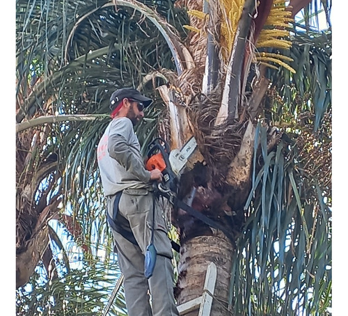 Paisajismo, Diseño Y Mantenimiento Jardines, Poda Y Riego