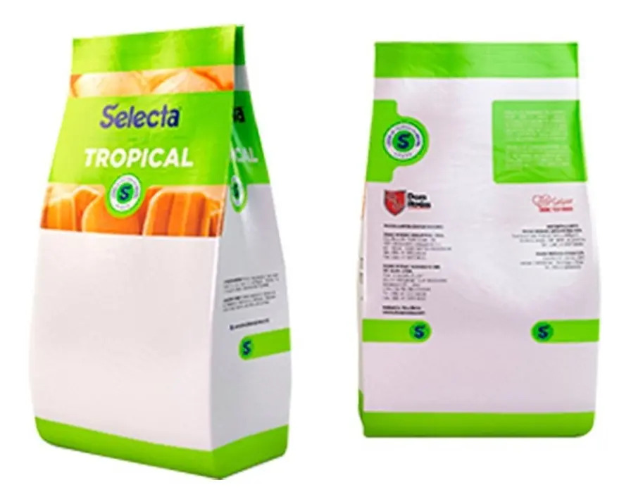 Selecta Açai Base Saborizante Para Sorvete 1kg Selecta