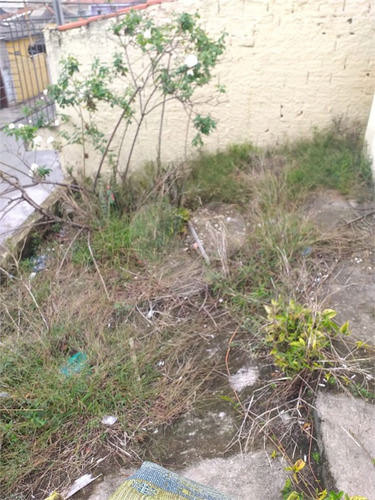 Imagem 29 de 30 de Excelente Terreno Na Vila Guilherme - Reo617108