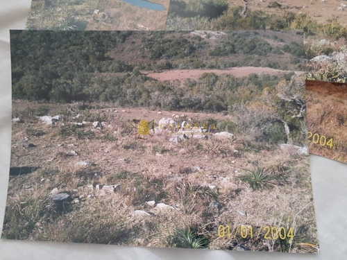 Campo Con Casa, Tajamar Monte Natural Muy Cerca De Aigua Consulte.- Ref: 1552