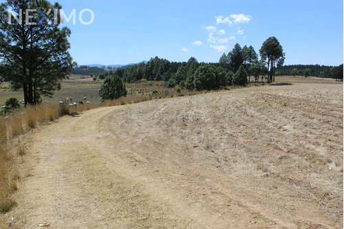 Imagen 3 de 6 de Venta Terreno 0 Ambiente Monte De Peña