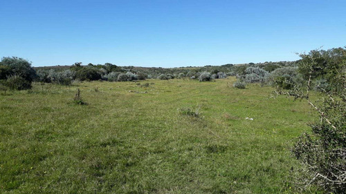 Campo 137 Hectáreas, En Poblado Colón, Lavalleja