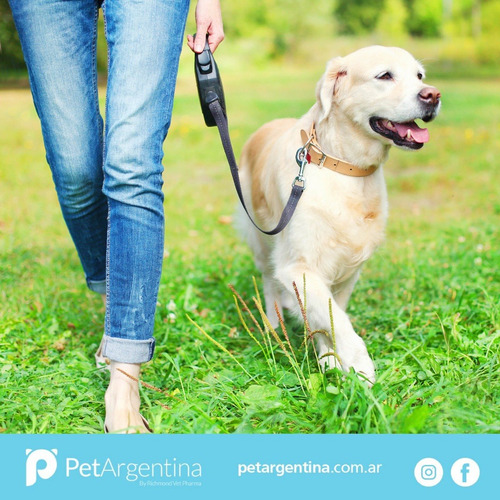 Imagen 3 de 8 de Correa Retractilpara Perros - Large - Smartleash