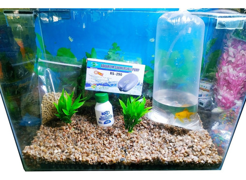Kit Pecera Completa 40x30x20 Con 1 Pez! El Mejor Precio.