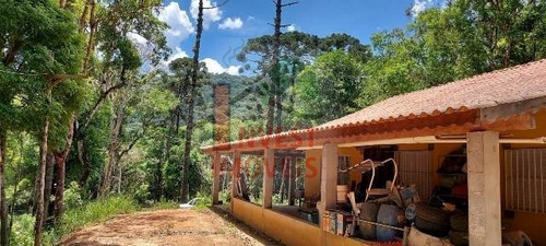 Imagem 6 de 10 de Chacara - Ref: 6479 - V-6479