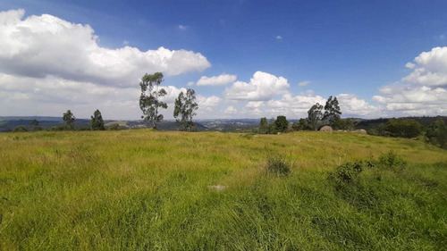 Imagem 3 de 13 de Lotes Com Excelente Topografia De 1000² Em São Roque