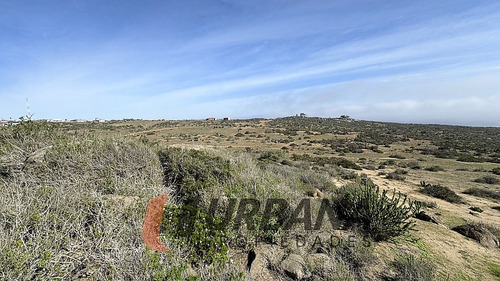 Sitios Exclusivos En Marina Del Arrayan