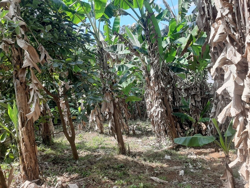 Imagen 9 de 14 de Se Vende Terreno Con 2 Apartamentos