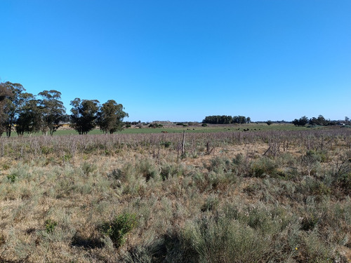 Vendo Muy Lindo Campo Con 2 Tajamares Para Riego, Alambrado, Pozos, Cañada, Monte, Financio Consulte