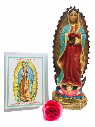 Virgen De Guadalupe 22 Cm + Novena