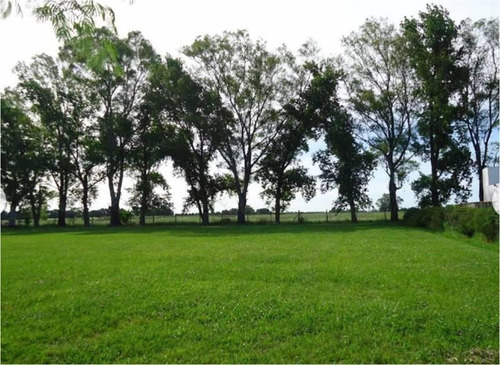Imagen 3 de 8 de Terreno Lote En Venta En Los Palenques Cc, Pilar, G.b.a. Zona Norte
