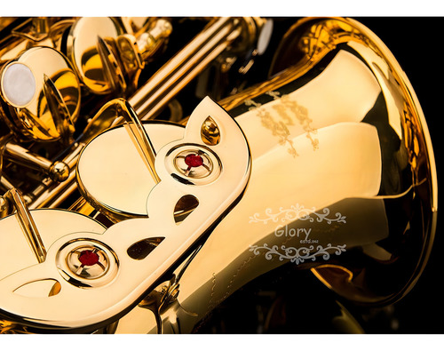 Glory Professional Alto Eb Sax Saxofon Lacado Dorado, Saxofo
