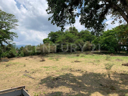 Terreno En Venta En Coatepec, Veracruz