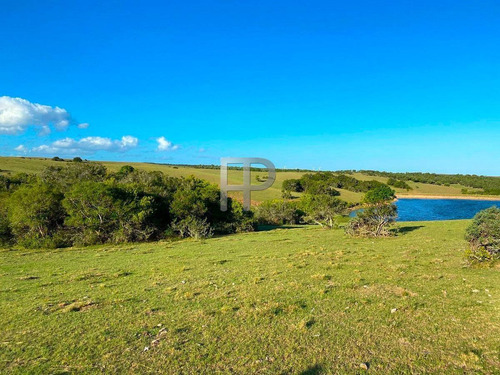 Imagen 4 de 13 de Campo En Venta Garzon 18 Has #1699