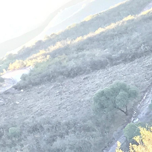 Imagen 5 de 8 de Terreno Lote - La Deseada
