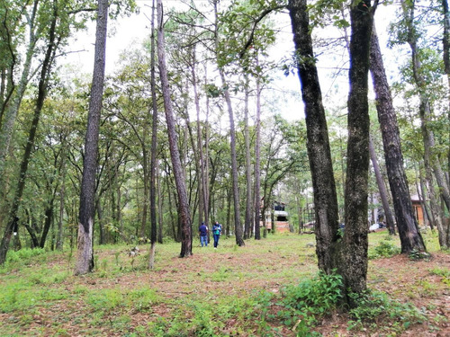 Imagen 7 de 12 de Terreno Huasca De Ocampo 2500 M2 Junto A Cabañas Pinochueco