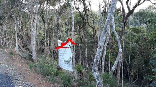 Imagem 10 de 29 de Terreno, Vila Porã, Campos Do Jordão - R$ 180 Mil, Cod: 60567 - V60567