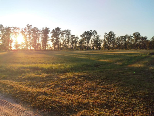 Imagen 8 de 25 de Terreno En Venta, 600 M2, Esquina Corrientes, A 100m Del Rio
