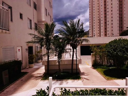 Imagem 12 de 14 de Belissimo Apartamento No Bairro V. Alzira, S.andré - Sp