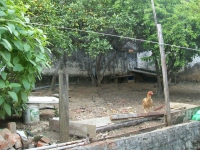 Imagem 7 de 7 de Ref.: 13031 - Terreno Em Osasco Para Venda - 13031