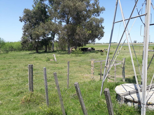 Imagen 3 de 9 de Campo - Villa Soriano