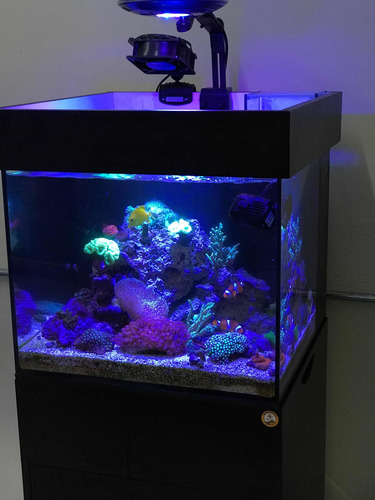 Imagem 6 de 10 de Aquário Cubo Marinho Completo 100 L Novo Fabrica Aquaproject