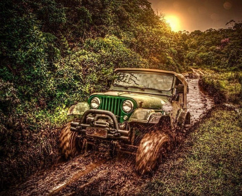 Imagem 5 de 6 de Retentor Roda Traseiro Externo Willys F-75/jeep/rural