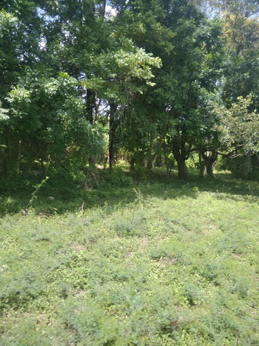 Imagen 9 de 17 de Venta 199 Hectáreas - Para Cultivo Y Ganado