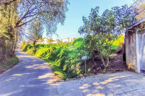 Imagem 2 de 6 de Terreno - Comercial/residencial - 54130