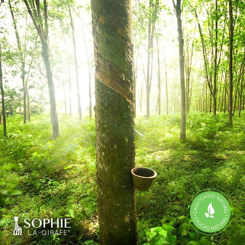 Imagen 6 de 10 de Sophie La Girafe - 100% Caucho Natural - Tienda Oficial.