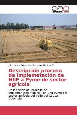Libro Descripcion Proceso De Implemetacion De Niif A Pyme...
