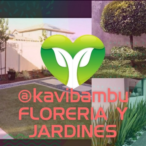 Mantenimiento De Jardines, Paisajismo, Fertilizacion, Riego