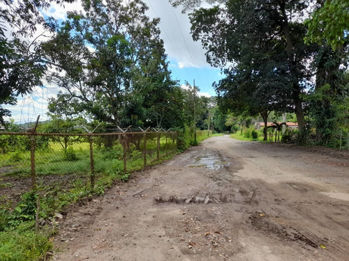 Imagen 13 de 30 de Finca En Guigue, 35 Hectareas. 5610462