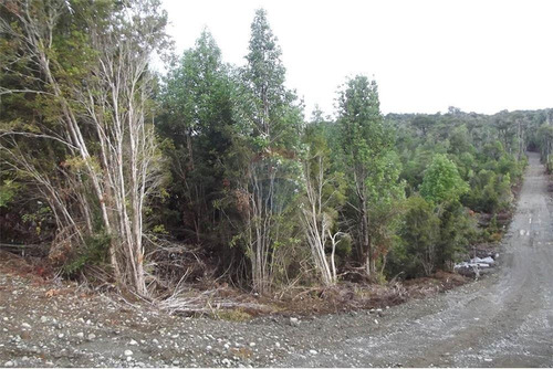 Imagen 4 de 30 de Parcela Disponible - Chiloe