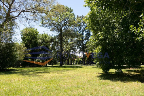 Imagen 1 de 2 de Lote En Venta En San Diego Country Club- Moreno