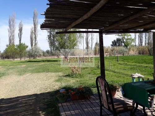 Imagen 7 de 17 de Permuto Por Casa Finca Agroganadera