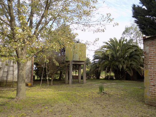 Casa Quinta, De 4 Hectareas Con 2 Viviendas Con Cochera, Deposito, Parque Y Parrilla
