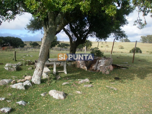 Imagen 3 de 12 de Chacra A La Venta Ruta 39, Camino Cerro Catedral